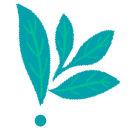 corkflowers.ie-logo