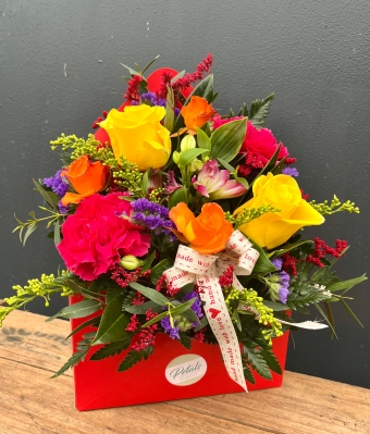 A Letter Home  Vibrant Colours