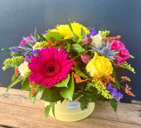 Vibrant Hatbox
