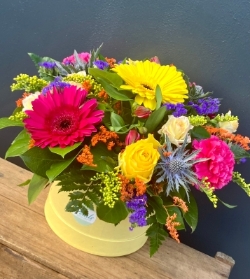 Vibrant Hatbox