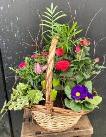 Planted Basket