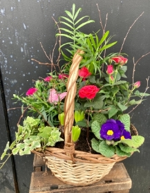 Planted Basket